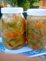 Šarena salata za zimu