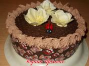 Čoko-plazma torta