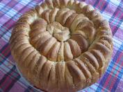 Sunce pogača (2)