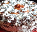 Lagana torta od kajsija