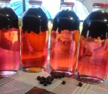 Sirup od aronije (2)
