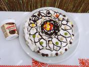 Plazma torta (16)