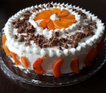 Torta sa kajsijama (6)