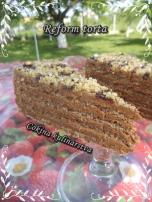 Reform torta (8)