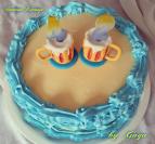 Plazma torta (17)