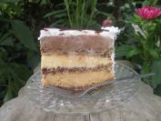Čokoladna - kokos torta