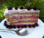 Torta sa kupinama i slatkom pavlakom