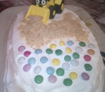 Plazma torta (18)