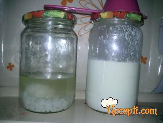 Kefir napitak