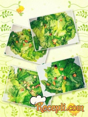 Zdrava zelena salata