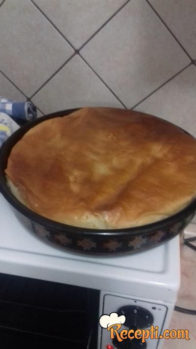 Pica-burek (2)