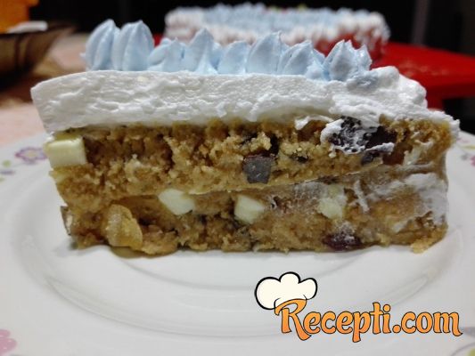 Brza tortica