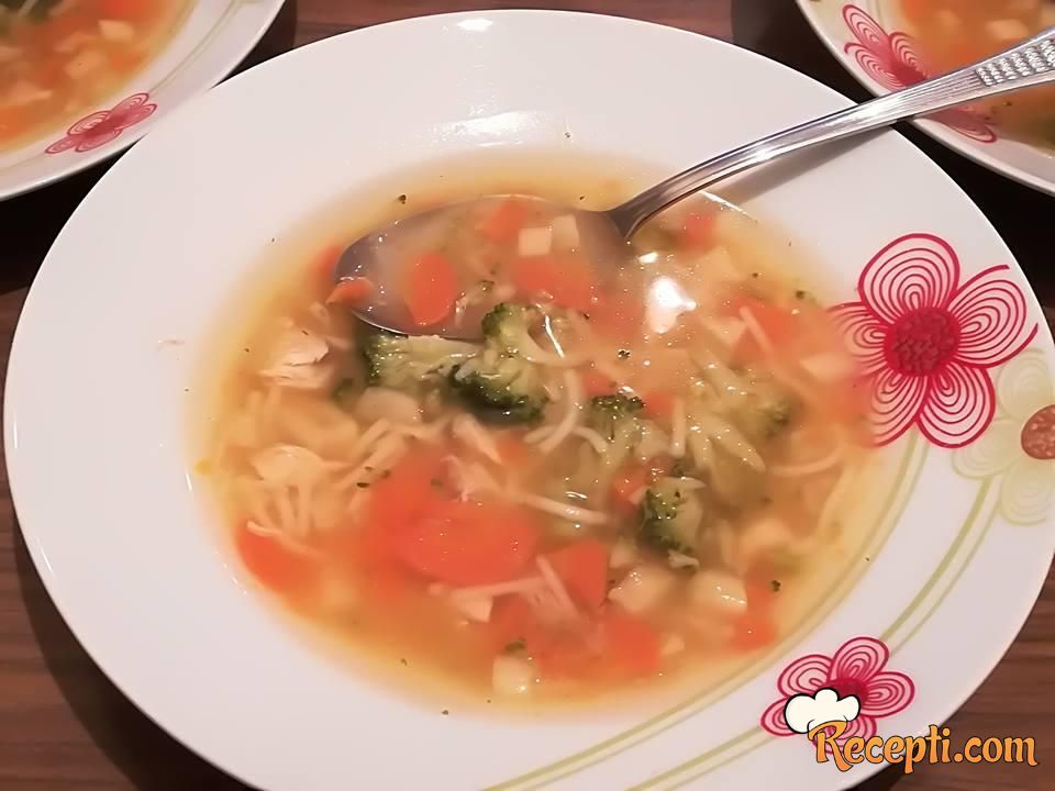 Pileća supa sa povrćem