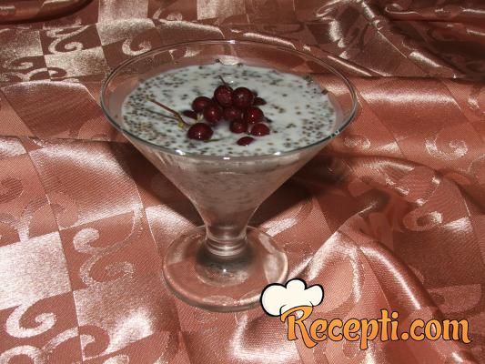 Chia puding sa ribizlom