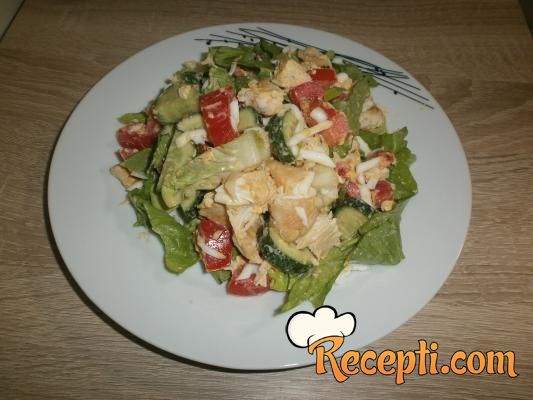 Pileća salata (12)