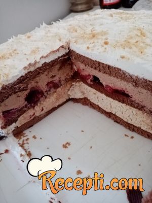 Šlag torta sa jagodama i plazmom