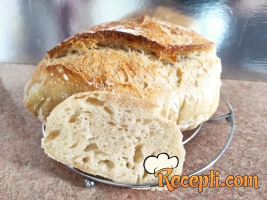 Hleb od divljeg kvasca, sourdough za početnike