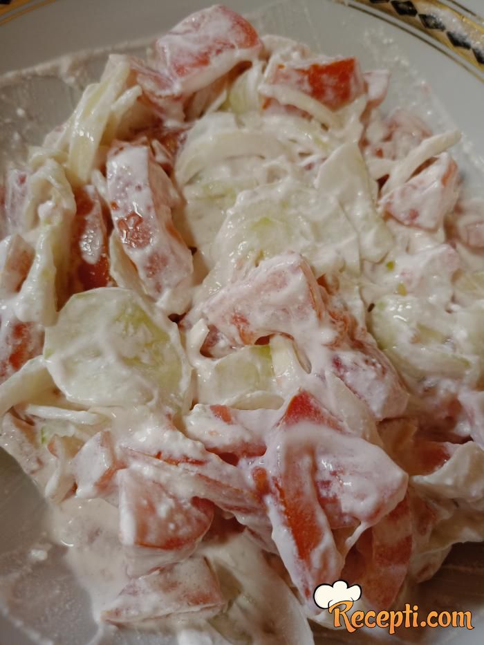 Letnja salata (4)