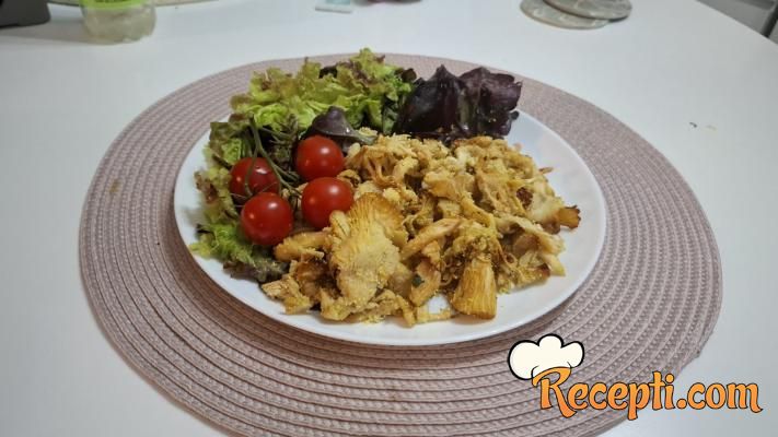 Fungiva bukovače