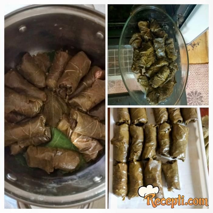 Sarma od vinove loze