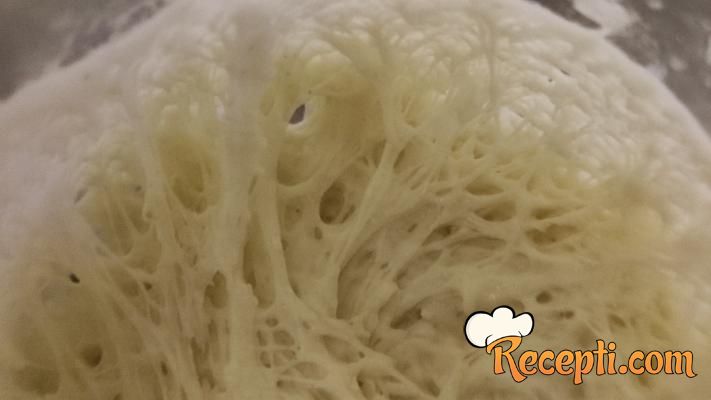 Starter od kvasne vode