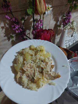 Piletina sa pirinčem