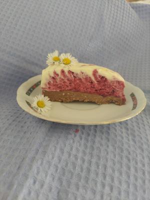 Vanila višnja sladoled torta