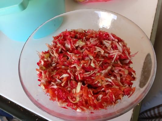 Vitaminska salata (16)