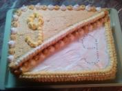 Plazma torta (3)
