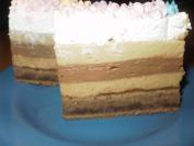 Kremasta torta (plazma, čokolada, karamela)