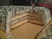 Kremisimo torta (3)
