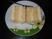 Kokos torta (5)
