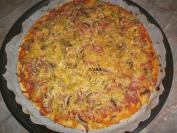 Brza pica (4)