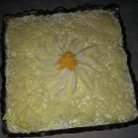 Mimoza salata (5)