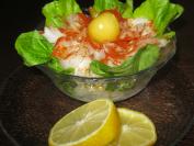 Kupus salatica