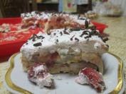 Slavicina Voćna Pavlova