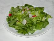 Zelena salatica