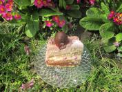 Voćna interkontinentalna torta