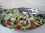 Prolećna salata (7)