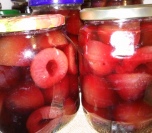 Kompot od šljiva (4)