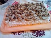 Posna bajadera torta