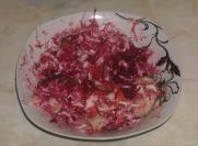 Vitaminska salata (9)
