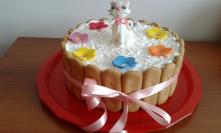 Rođendanska torta (6)