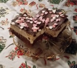 Snežno ledene kocke