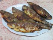 Pečena pastrmka