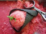 Sorbet od lubenice