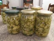 Salata sa tikvicama (2)