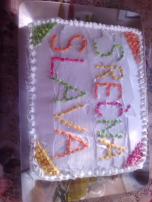 Plazma torta (19)