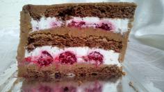 Torta sa malinama (8)