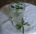 Domaći sok od nane (sirup)